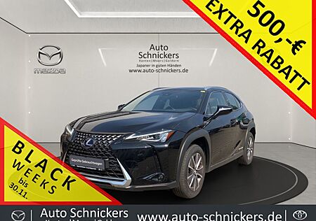 Lexus UX 300e Executive Paket+LEDER+ACAA