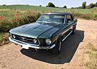 Ford Mustang Hardtop Coupe V8 | 289cui | 4,7L