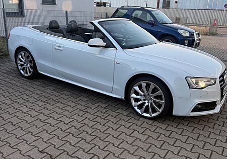Audi A5 3.0 TDI S tronic quattro Cabriolet -