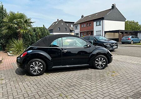 VW Beetle Volkswagen Cabrio
