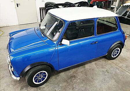 Mini British Leyland, 1000