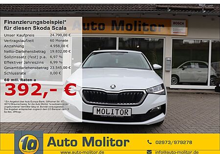 Skoda Scala digitales Cockpit LED Sperrdiff. ACC Apple