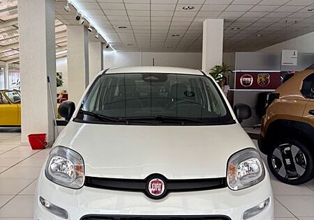 Fiat Panda MY25 Pandina ICON Hybrid