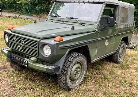 Mercedes-Benz G 250 gebraucht kaufen Mercedes-Benz G 250 Wolf für Jagd und Freizeitspaß