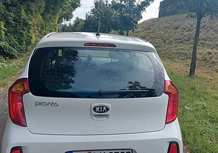 Kia Picanto 1.0 Edition 7 Edition 7