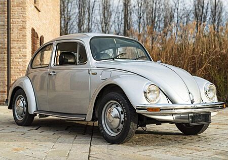VW Käfer Volkswagen Silver Bug