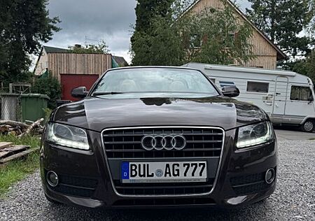 Audi A5 2.0 TDI (DPF) Cabriolet -