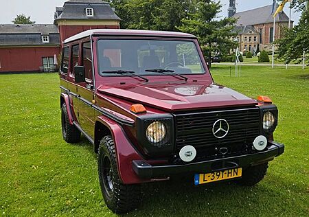 Mercedes-Benz G 300