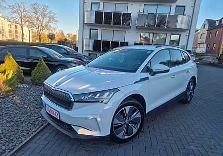 Skoda Enyaq 60 Loft LED ACC Spur 19"