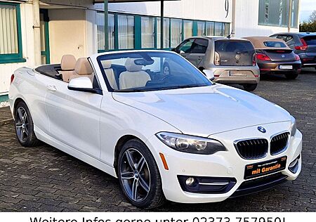 BMW 230i Cabrio Autom. Leder Kamera Sitzheizung