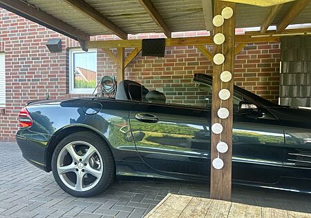 Mercedes-Benz 350 SL , R230
