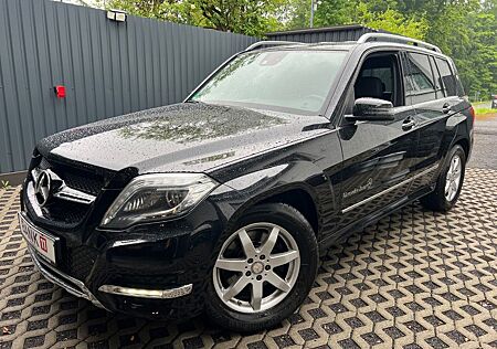 Mercedes-Benz GLK 250 *4Matic*Standheizung*AHK*F1*Top*Geplfegt