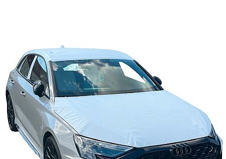 Audi RS3 Sportback|KERAMIK|CARBON|PANO|SONOS|MATRIX