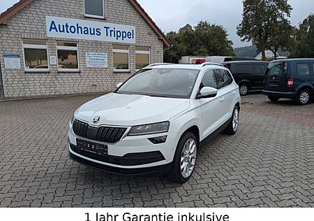 Skoda Karoq 4x4 LED AHK RFK 8.fach ACC Standheizung