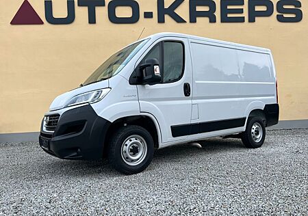 Fiat Ducato Professional Kasten Neuwagen Nicht EU