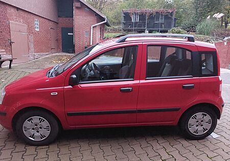 Fiat Panda gebraucht kaufen Fiat Panda