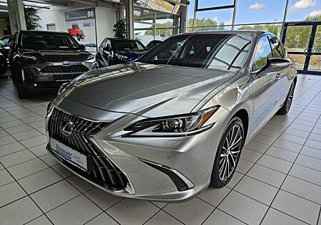 Lexus ES 300 ES 300h Business Line Leder Schiebedach Navi ele