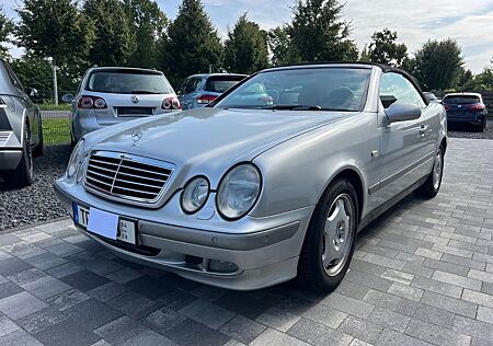 Mercedes-Benz CLK 320 AVANTGARDE Xenon Leder Rostfrei AHK Pdc