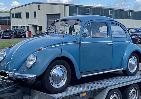 VW Käfer Volkswagen