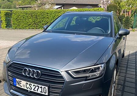 Audi A3 30 TDI sport Shz. LED Alu Motor NEU 30 tds