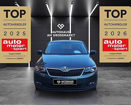 Skoda Rapid Spaceback Drive SHZ, Parksensoren