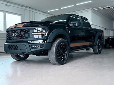 Ford F 150/5.0/V8/4X4/Facelift