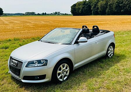 Audi A3 1.6 Cabrio-Topzustand-Klima-E-Verdeck-PDC-Alu