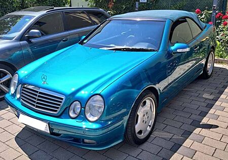 Mercedes-Benz CLK 430 CLK Cabrio 430 Elegance, konserviert+ überholt