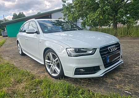 Audi A4 Allroad A4 Avant