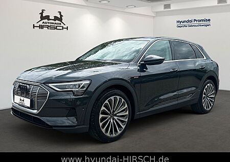 Audi e-tron 50 quattro 21" Navi LUFT AHK