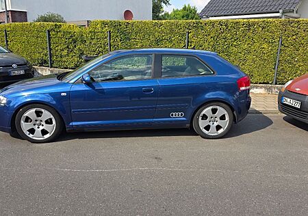 Audi A3 8P 2.0 TDI , 12fach Bereifung, Spritsparer!
