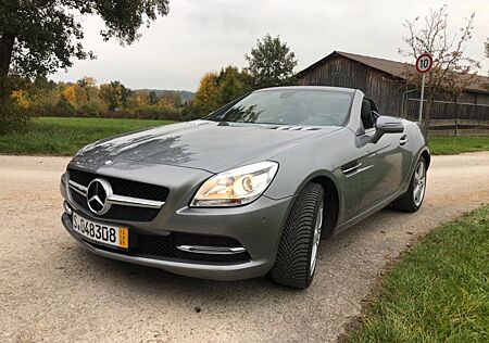 Mercedes-Benz SLK 250 BlueEFF. Edition 1 Autom. Edition 1