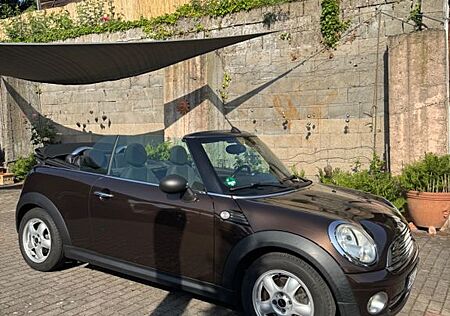 Mini One Cabrio Braun