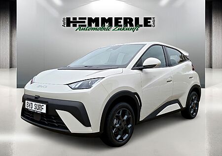 BYD DOLPHIN SURF Boost*Kamera*SOFORT VERFÜGBAR!!