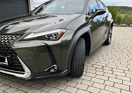 Lexus UX 300e -Luxury Schiebedach Headup