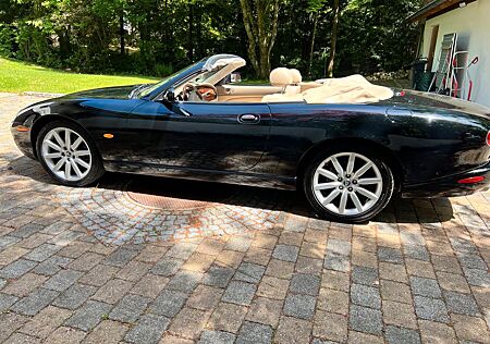 Jaguar XK8 Cabriolet in Traumkombination schwarz-beige