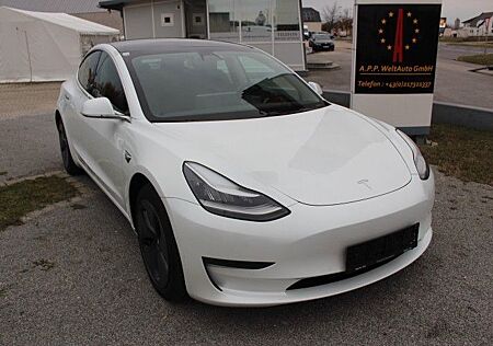 Tesla Model 3 Long Range AWD Cam