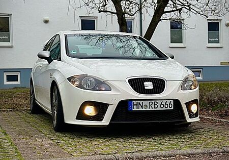 Seat Leon 2.0 TFSI 260 PS Stuffe 1 BullX Auspuff