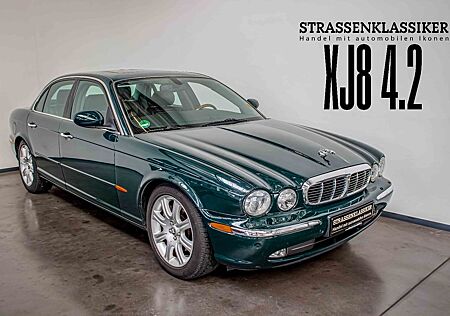 Jaguar XJ8 gebraucht kaufen Jaguar XJ8 4.2 Liter 1.Hand TOP GEPFLEGT