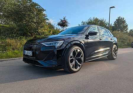 Audi e-tron S quattro Anhängerkupplung