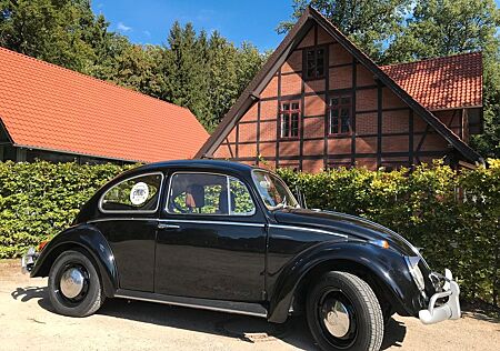 VW Käfer Volkswagen