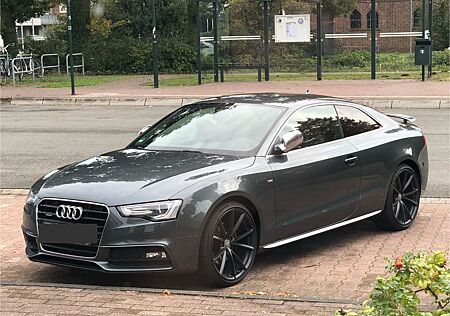 Audi A5 3.0 TDI DTM S5/RS5 Sportsitze