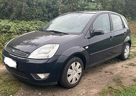 Ford Fiesta 1.3 51 kW -