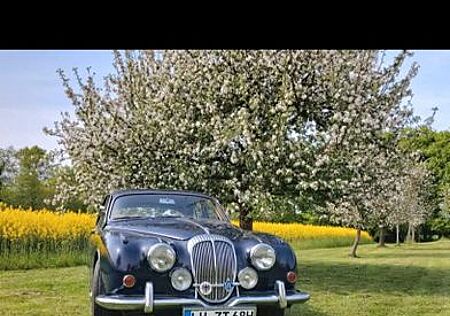 Jaguar Daimler 250 V8 (wie Mark II) TÜV 04/27