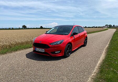 Ford Focus 1,0 ST-Line Winterpaket 8fach Bereift