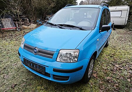 Fiat Panda 1.1 sehr guter Zustand, wenig KM