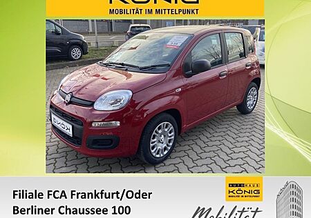 Fiat Panda MY25 1.0 Klima PDC Citypaket