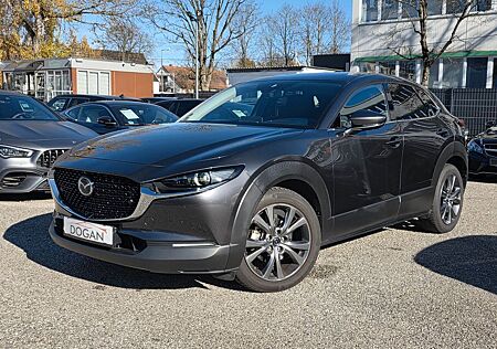 Mazda CX-3 CX-30 Selection AWD |LED |Head-Up |360° |Pilot