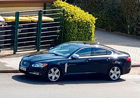 Jaguar XF 3.0 V6 Diesel Luxury Luxury