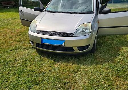 Ford Fiesta V 1.3 51 kW